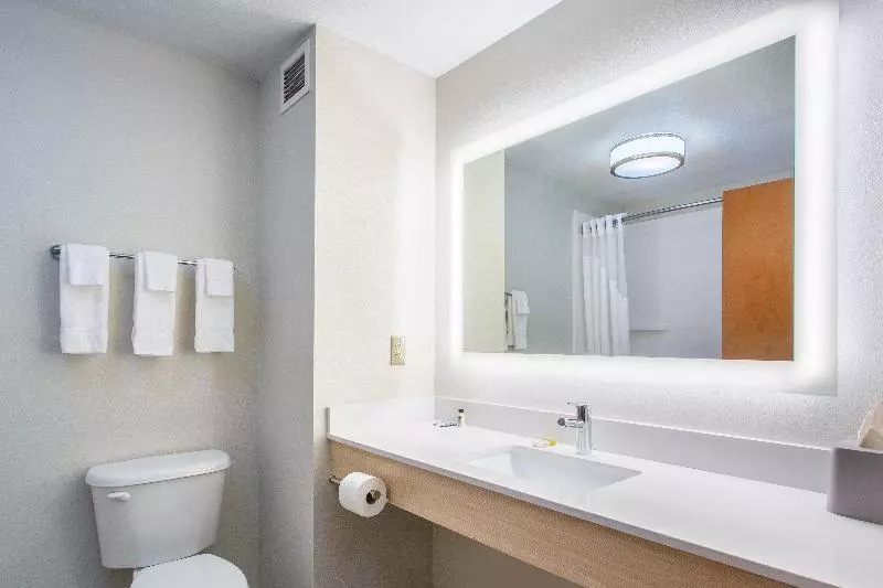 スタンダードルーム, Holiday Inn Express Hotel & Suites Lewisburg, An Ihg