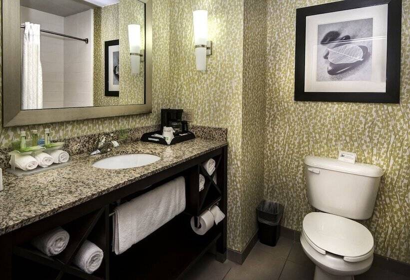 Номер Стандарт 2 Двуспальные Кровати, Holiday Inn Express Conway, An Ihg