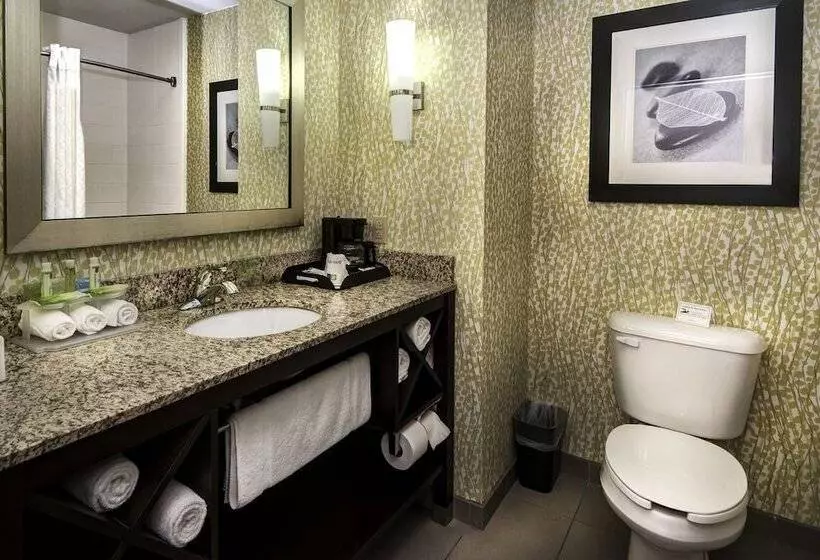 スイート, Holiday Inn Express Conway, An Ihg
