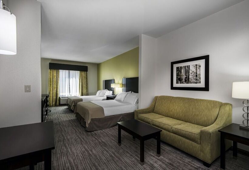 Люкс, Holiday Inn Express Conway, An Ihg