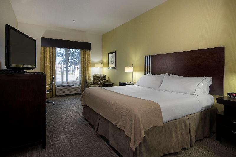 غرفة قياسية سرير كينج, Holiday Inn Express Conway, An Ihg