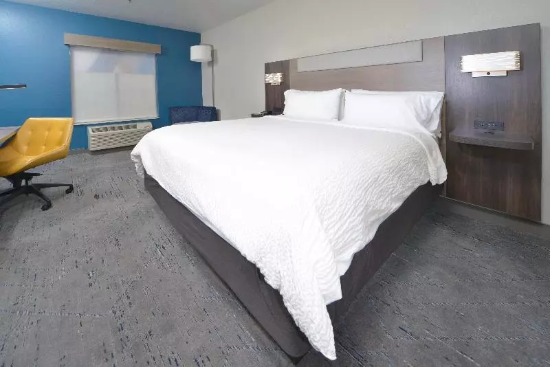 身障者適用キングサイズベッドルーム, Holiday Inn Express Conway, An Ihg