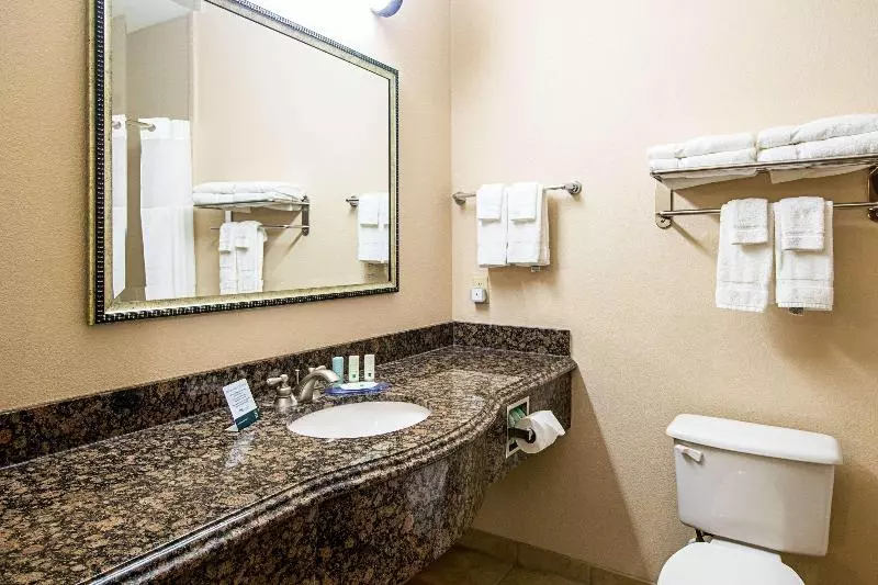 Sviitti King-vuode, Quality Inn & Suites