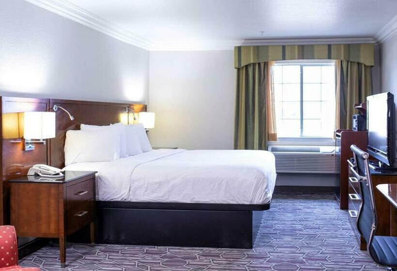 스탠다드 룸 킹사이즈 침대, Surestay Plus By Best Western Fort Worth Benbrook
