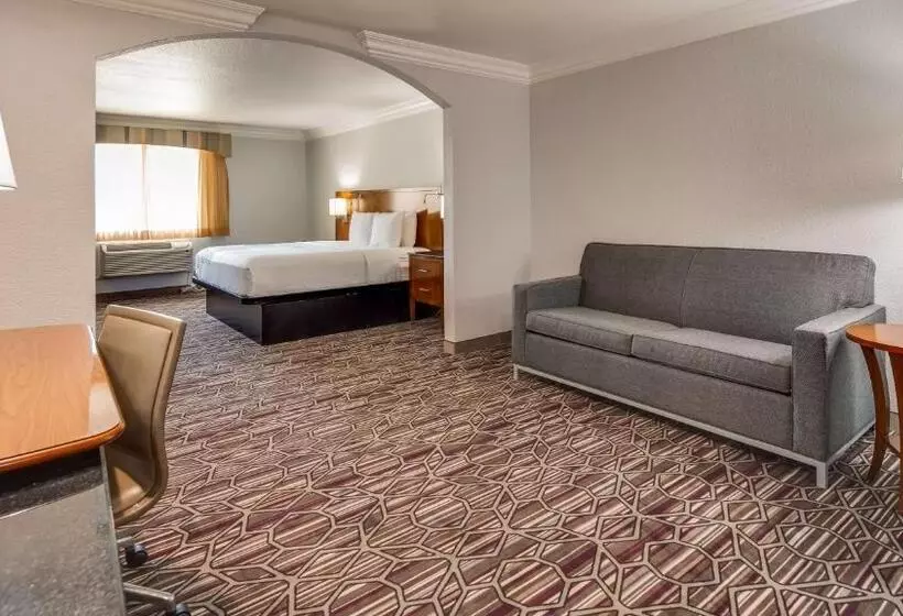 Sviitti Liikuntarajoitteisille, Surestay Plus By Best Western Fort Worth Benbrook