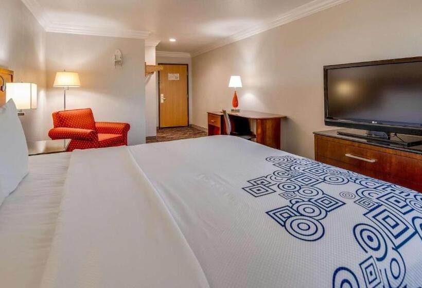 장애인을 위한 킹사이즈 침대 스탠다드 룸, Surestay Plus By Best Western Fort Worth Benbrook