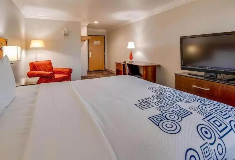 Standard-invahuone King-vuode, Surestay Plus By Best Western Fort Worth Benbrook