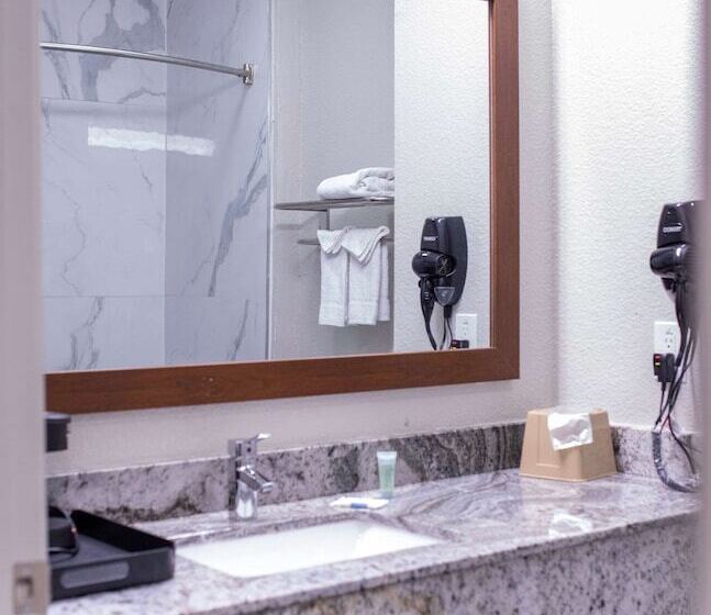 Люкс Адаптированный для Инвалидов, Surestay Plus By Best Western Fort Worth Benbrook