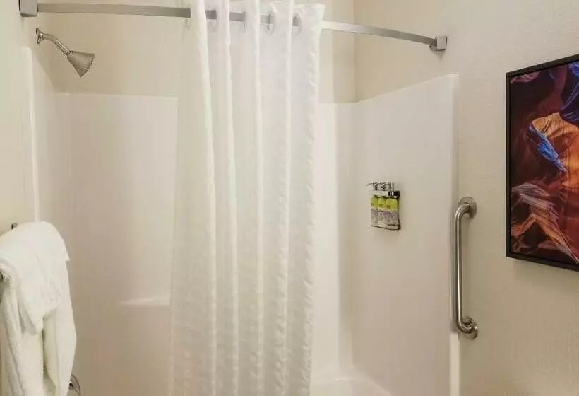 スタンダードスタジオ, Candlewood Suites Apex Raleigh Area, An Ihg