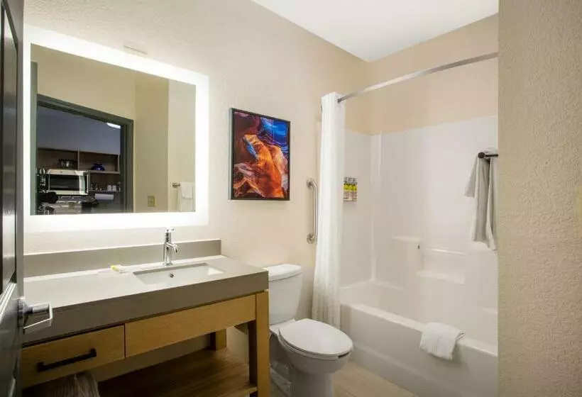 スタンダードスタジオ, Candlewood Suites Apex Raleigh Area, An Ihg