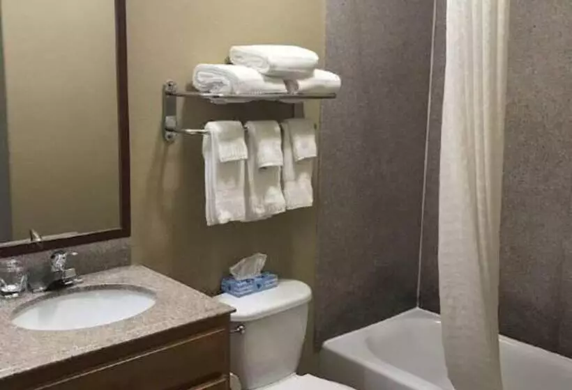 スイート, Candlewood Suites La Porte, An Ihg