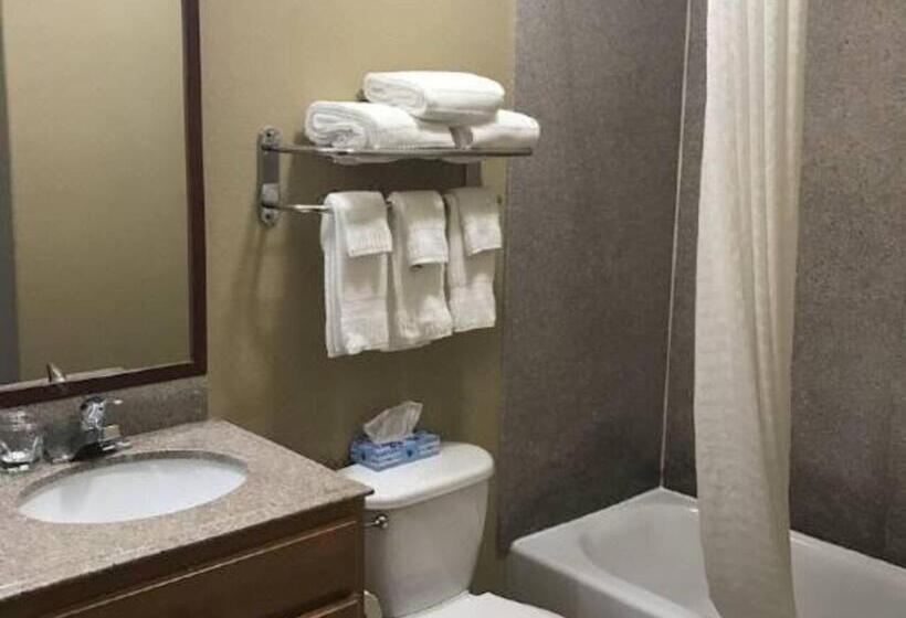إستوديو قياسى سرير كينج, Candlewood Suites La Porte, An Ihg
