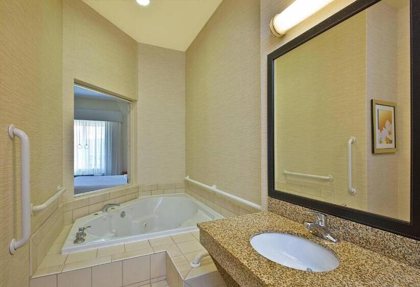 带大床的标准间, Fairfield Inn & Suites By Marriott Chattanooga South East Ridge