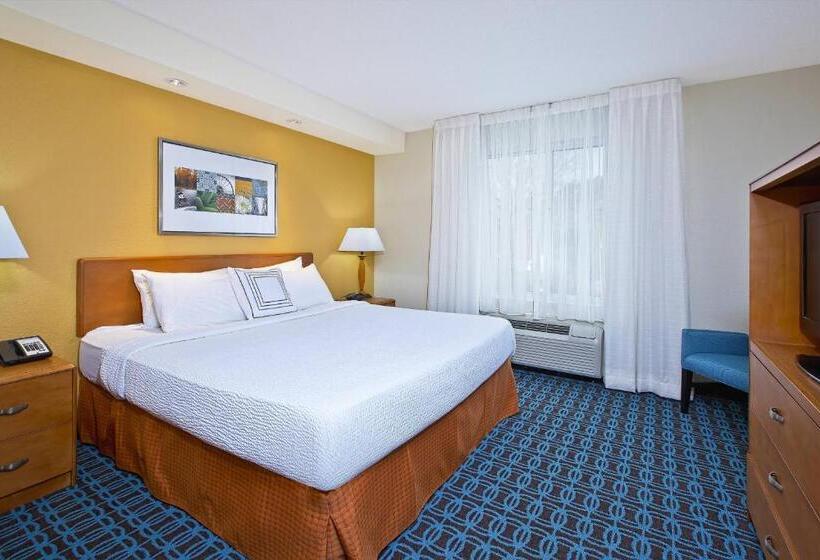 سوئیت با تخت بزرگ, Fairfield Inn & Suites By Marriott Chattanooga South East Ridge