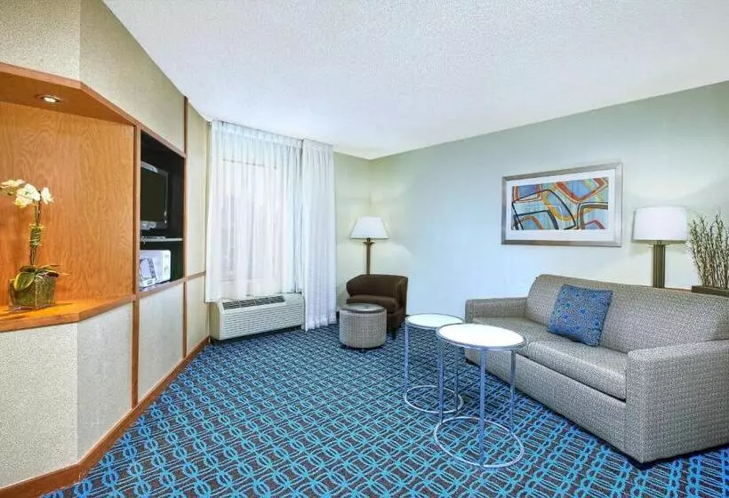 キングサイズベッドのスイートルーム, Fairfield Inn & Suites By Marriott Chattanooga South East Ridge
