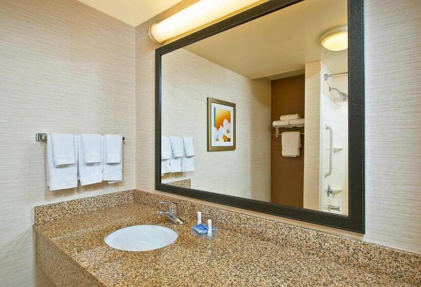 带大床的套房, Fairfield Inn & Suites By Marriott Chattanooga South East Ridge