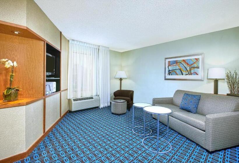 带大床的套房, Fairfield Inn & Suites By Marriott Chattanooga South East Ridge