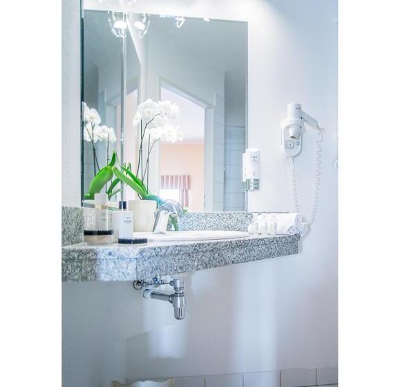 スタンダードルーム, Fenix