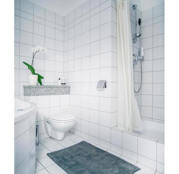 １ベッドルームアパートメント, Fenix