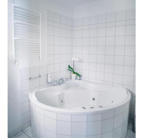 １ベッドルームアパートメント, Fenix