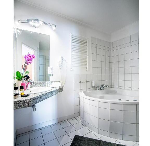 １ベッドルームアパートメント, Fenix