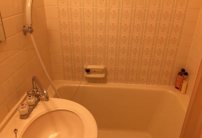 غرفة قياسية, Kikuchi Kanko