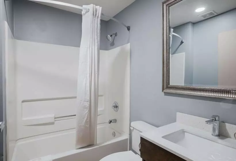 スイート, Sonesta Essential Hotels Blue Springs