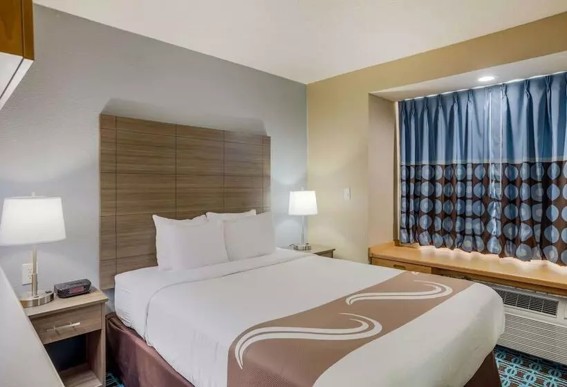 スイート, Sonesta Essential Hotels Blue Springs