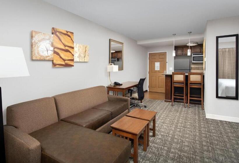 스탠다드 스튜디오, Staybridge Suites Columbia, An Ihg