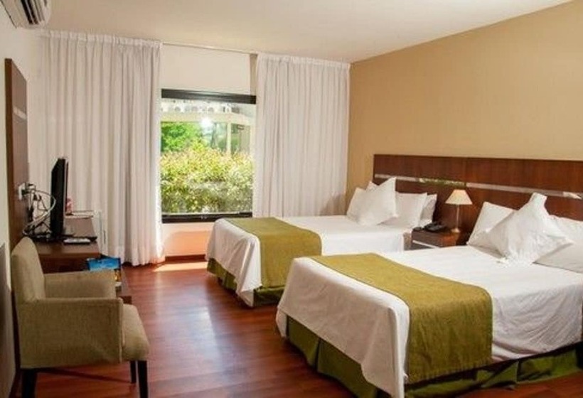 수피리어 룸, De Campo Colon