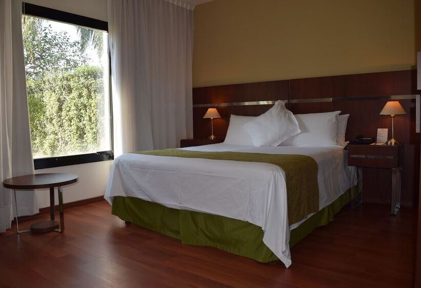 수피리어 룸, De Campo Colon