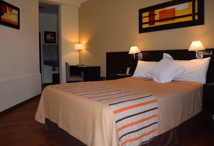 이그제큐티브 싱글룸, De Campo Colon