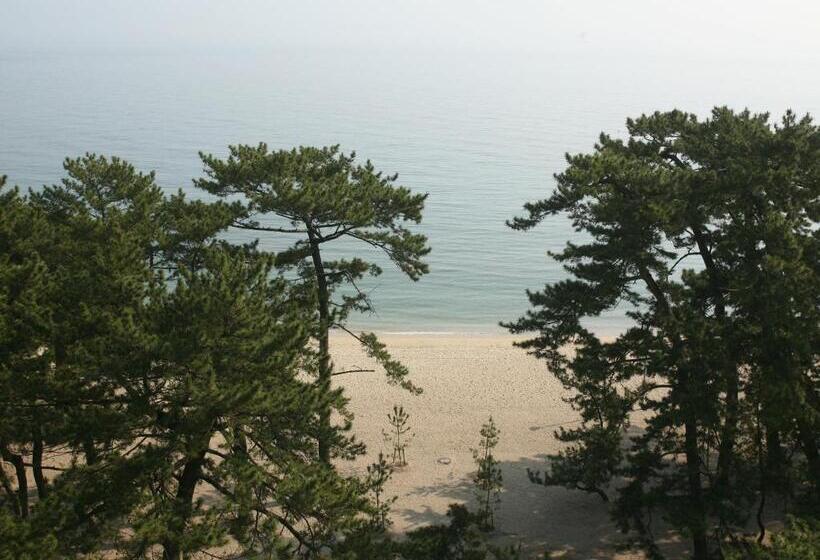 高级大房间, Yumekaiyu Awajishima