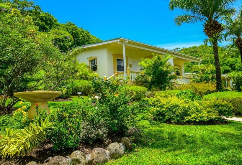 اتاق لوکس, Blue Horizons Garden Resort