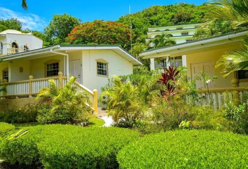 Superior studio with garden view