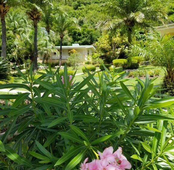 Superior studio with garden view, Blue Horizons Garden Resort