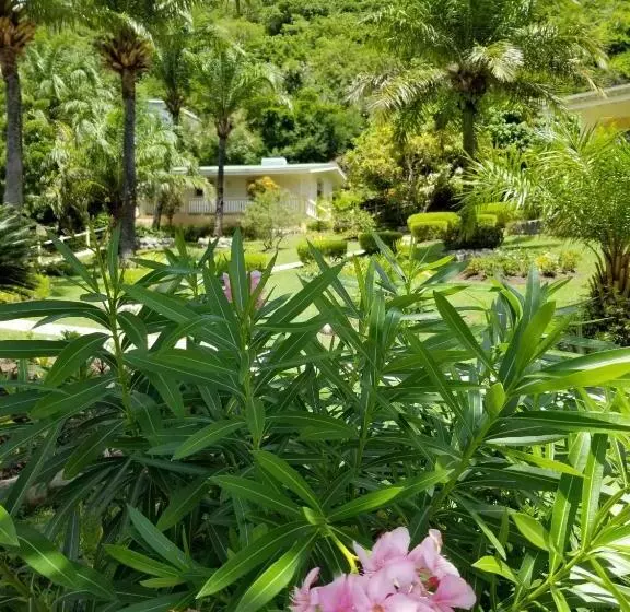 Superior studio with garden view, Blue Horizons Garden Resort
