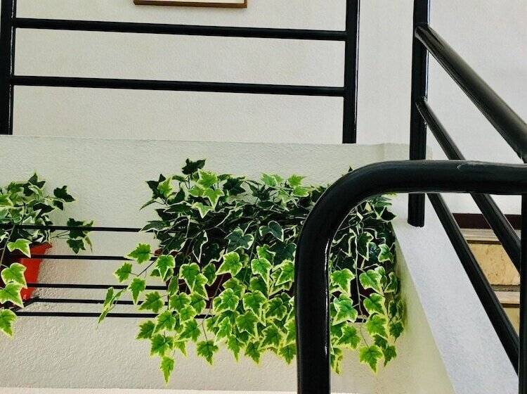 اتاق استاندارد, Jupiter Suites