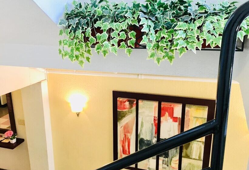 اتاق لوکس, Jupiter Suites