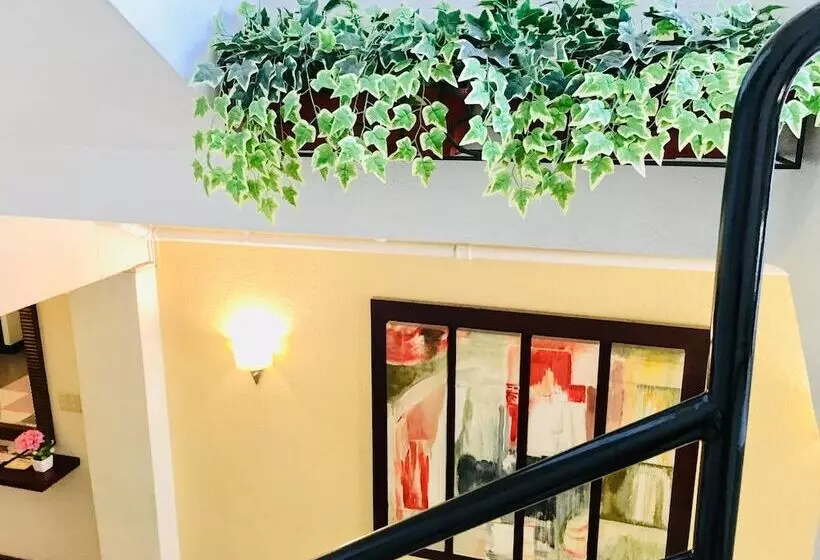 اتاق لوکس, Jupiter Suites