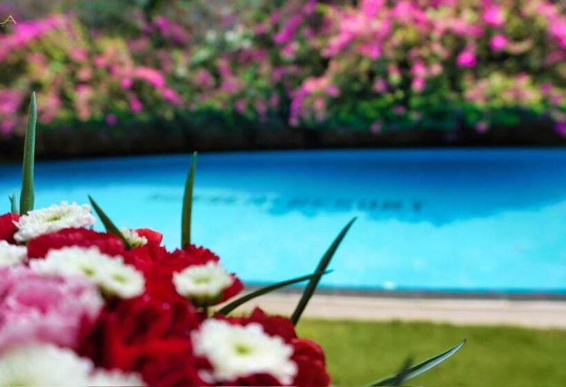 اتاق استاندارد, Sunsea Resort