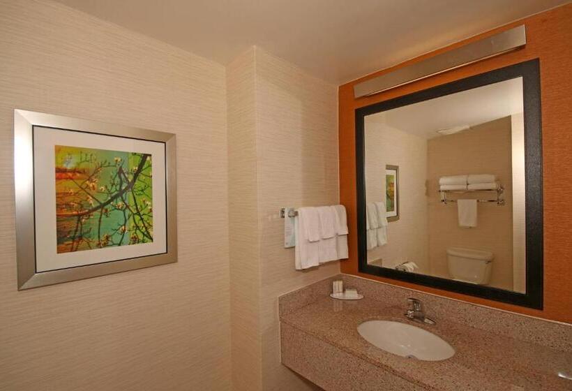 带大床的标准工作室, Fairfield Inn & Suites By Marriott Aiken