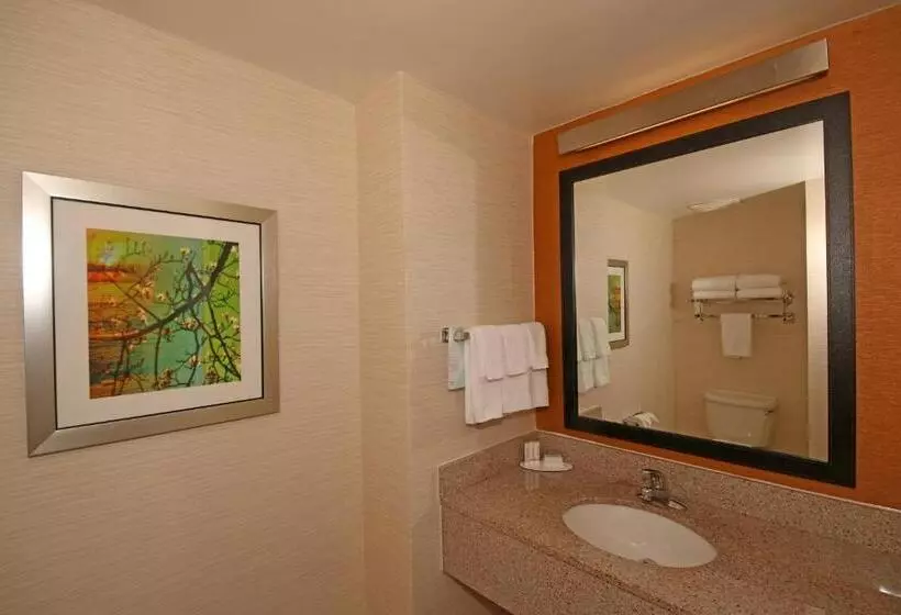 キングサイドベッドのスタンダードワンルーム, Fairfield Inn & Suites By Marriott Aiken