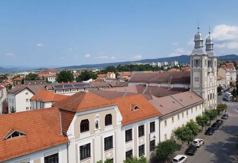 スーペリアールーム, Küküllő  Târnava