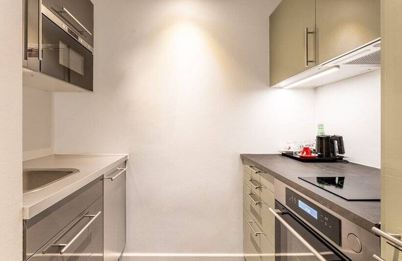 침실 1개 아파트, Plaza Inn Graz