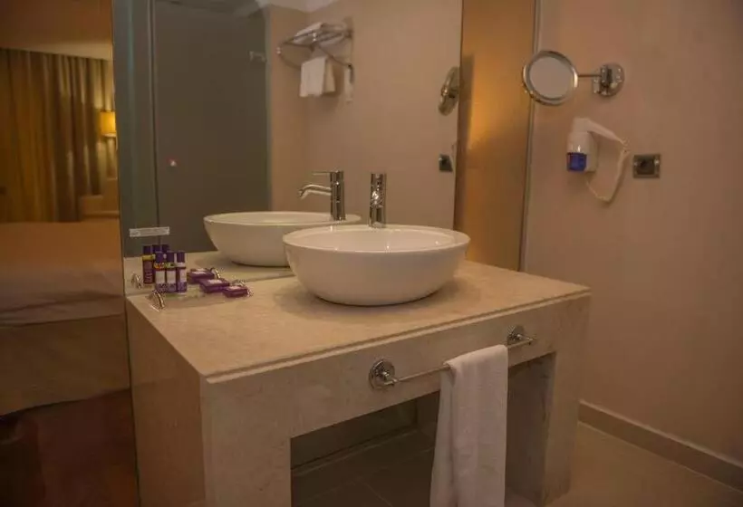 デラックスルーム, Anemon Kent Ordu Otel