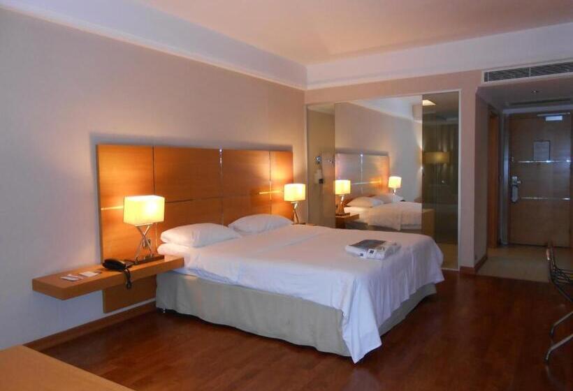 اتاق لوکس, Anemon Kent Ordu Otel