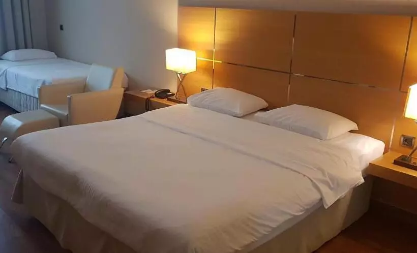 デラックスルーム, Anemon Kent Ordu Otel