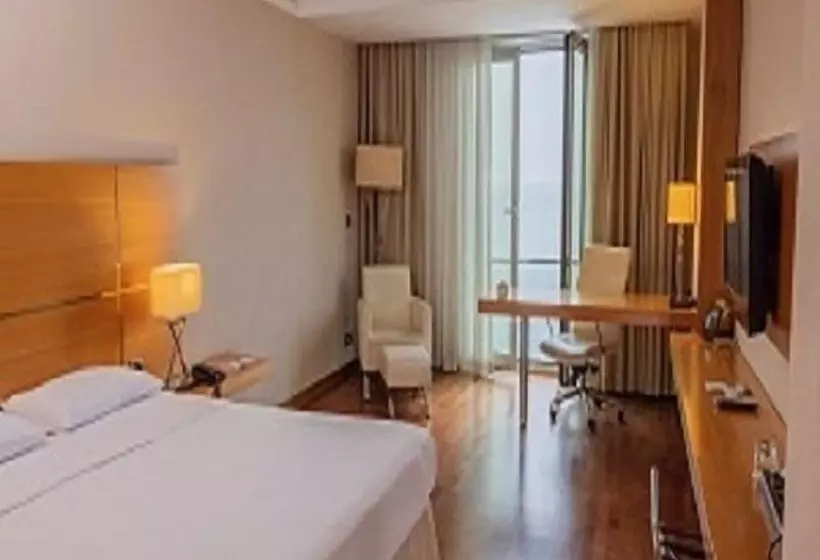 デラックスルーム, Anemon Kent Ordu Otel