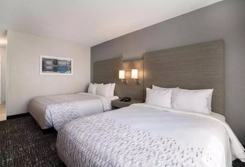 身障者適用スタンダードルーム, Best Western Plymouth Innwhite Mountains
